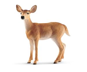 SCHLEICH Wildlife White-tailed Deer Figure 14819 PVC Realistic Design Animal NEW