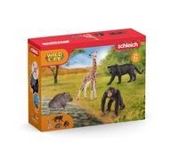 SCHLEICH - Wild Life Basic Kit, 72162