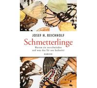 Schmetterlinge: Warum sie verschwinden und was das für uns bedeutet