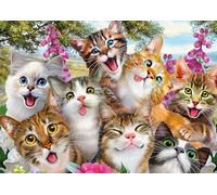 Schmidt Jigsaw Puzzle Cat Selfie 500 pieces Bundle