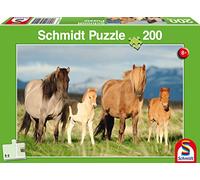 Horse Family