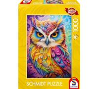 Owl in a parrot dress