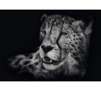 Schmidt Speed, Gepard, Im Zeichen der Anmut