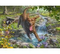 Schmidt Spiele 58559 Mark Frederickson, Dog Love, Spring Walk with Labrador Retriever, 1000 Piece Jigsaw Puzzle