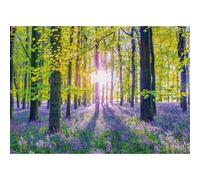 Schmidt Tranquil Bluebell Woods Jigsaw Puzzle (1000 Pieces)