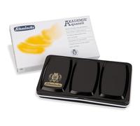 Schmincke - AKADEMIE®AQUARELL Watercolor compact color box, basic assortment 12 x 1/2 pans, 75 112 097, metal box, highly lightfast colors, fine artists' watercolors