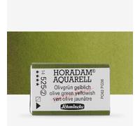 Schmincke : Horadam Watercolour Paint : Full Pan : Olive Green Yellowish