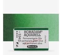 Schmincke : Horadam Watercolour Paint : Full Pan : Permanent Green Olive