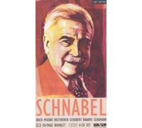 Schnabel