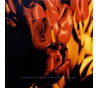 Schnauss, Ulrich - A Strangely Isolated Place