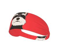 Schnauzer Buddy Dog,Sports Sweatband for Unisex Multi Headband Elastic Exercise Hairband