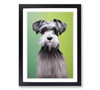 Schnauzer Dog Framed Wall Art Print A2 Black