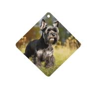 Schnauzer Dog on The Grass Car Air Freshener Hanging, Long Lasting Scented Car Aromatherapy Tablets, Rhombus Fragrance Scented Cards for Vehicles, Bedroom, Wardrobe Gray-style