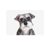 Schnauzer Dog Pet,Floor Mat Diatomaceous Mat Absorbent Non Slip Bath Rug 15.7x23.6in