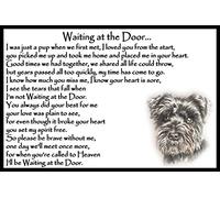 Schnauzer Dog Pet Memorial Fridge Magnet with Verse - Waiting at The Door