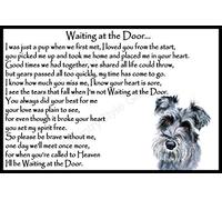 Schnauzer Dog Pet Memorial Rainbow Bridge Gift with Verse - Waiting at The Door