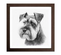 Schnauzer Drawing Framed Print | 18x18 Inch Walnut Framed Wall Art | Ready to Hang | Modern Nature Picture | Living Room Bedroom Lounge Office