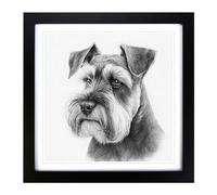 Schnauzer Drawing Framed Wall Art Print 18x18 Inch Black