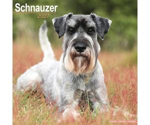 Schnauzer Euro