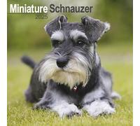 Schnauzer Miniature 2025 Square Wall Calendar | 12 Months Jan to Dec 2025 | Includes Planner Page for 2026 | Dog Breed Calendar