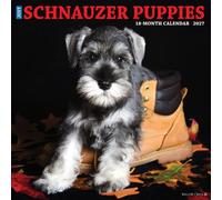 Schnauzer Puppies 2027 Wall