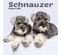 Schnauzer Puppies Mini Calendar 2027, Wall Calendars, Month To View, Gift