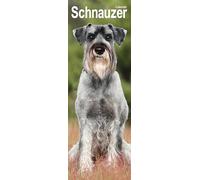 Schnauzer Slim 2027 Calendar | Slimline Wall Calendar | Dog Breed Gift | Plastic Free Packaging | by Avonside Publishing