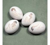 Schneeweiss Und Rosenrot - Pool