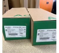 Schneider A9L40601 Acti 9 4 Module 3 Pole And Neutral Type 2 Surge Protector