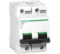 Schneider C120N 2P 100A Circuit Breaker 10kA - A9N18362