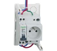 Schneider Elec PBT - ITL 45 04 - Toma Current PC 2 Poles + Earth 250 V