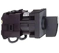 Schneider Elec Pic - MSS 54 02 - Switch Complete multifijación