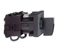 Schneider Elec Pic - MSS 54 02 - Switch Complete multifijación