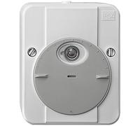 Schneider Electric 544829 Argus twilight Switch light grey 230 V