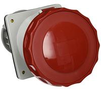 Schneider Electric 81295 SOCLE PRISE ENC. INC. 125A 3PNT 380-415V, White