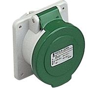 Schneider Electric 82926 Socket Panel Mount Straight 32A 3P 24/48, White