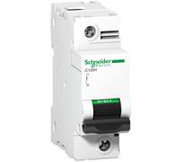 Schneider Electric C120-series Circuit Breaker 125A 15kA Icu A9N18492
