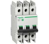 Schneider Electric Circuit Breaker - M9F42310