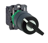 Schneider Electric Harmony XB5 - Key Selector Switch, Plastic, 2 Positions, Ronis 455 Keylock, Spring Return Right to Left, 1NO, 22 mm Mount, XB5AG61, Black