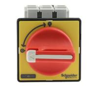 Schneider Electric MAIN EMERGENCY SWITCH 25A
