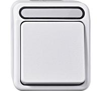 Schneider Electric MEG3150-8019 AquaStar Switch wet room polar white