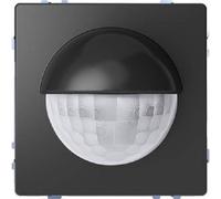 Schneider Electric MTN6302-6034 - Argus 180/2.20 m d-Life Anthracite