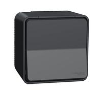 Schneider Electric MUR35021 Switch Surface