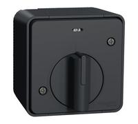 Schneider Electric MUR35067 Mureva Styl - LED Time Switch - Surface-Mounted - IP55 - IK08 - Grey Inter Tempo