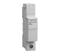 Schneider Electric SE1100L 100A 1P Lug Unit
