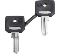 Schneider Electric spare key for key Switch pack of 2 1pc