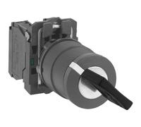 Schneider Electric Harmony XB5 - Key Selector Switch, Plastic, 2 Positions, Ronis 455 Keylock, Stays Put, 1NO, 22 mm Mount, XB5AG21, Black