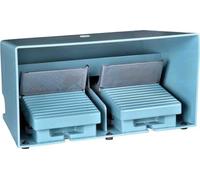 Schneider Electric xpem5100d Double Pedal Switch, with Cover, Metallic, 2 NC + 2 NA, Blue