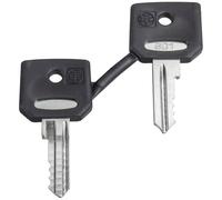 Schneider Electric ZBD8D1 spare key for key Switch pack of 2 1pc
