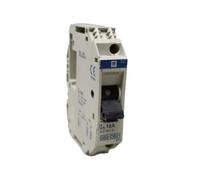 Schneider GB2CB21 Automatic Switch 1P 16A